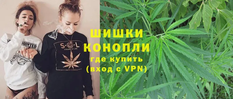 Шишки марихуана Amnesia  Горячий Ключ 